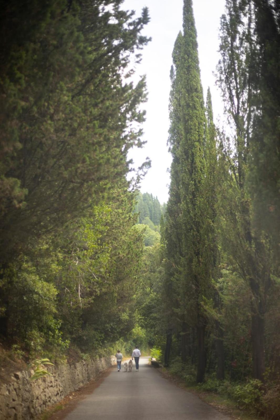 Agriturismo Tassinaia Pontassieve Bagian luar foto