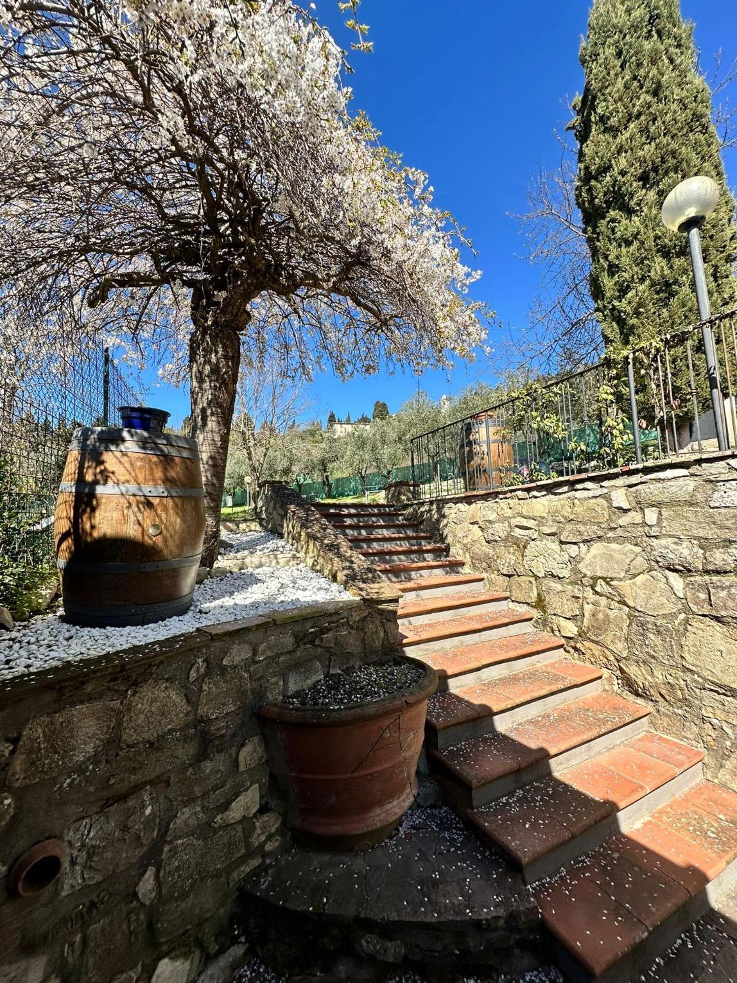 Agriturismo Tassinaia Pontassieve Bagian luar foto