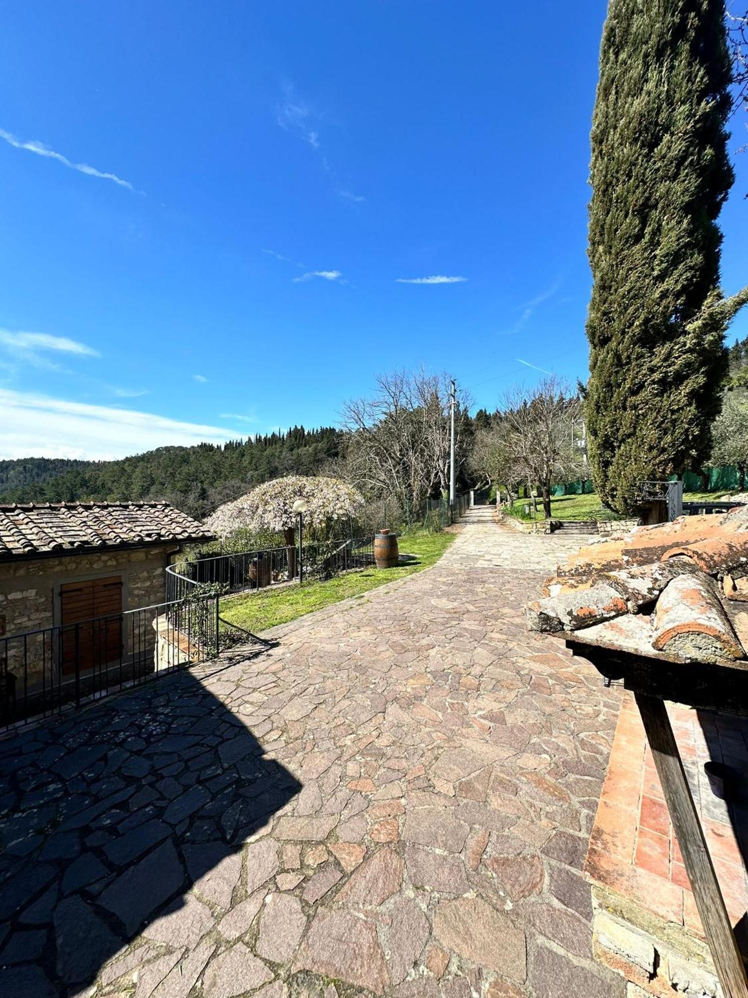 Agriturismo Tassinaia Pontassieve Bagian luar foto