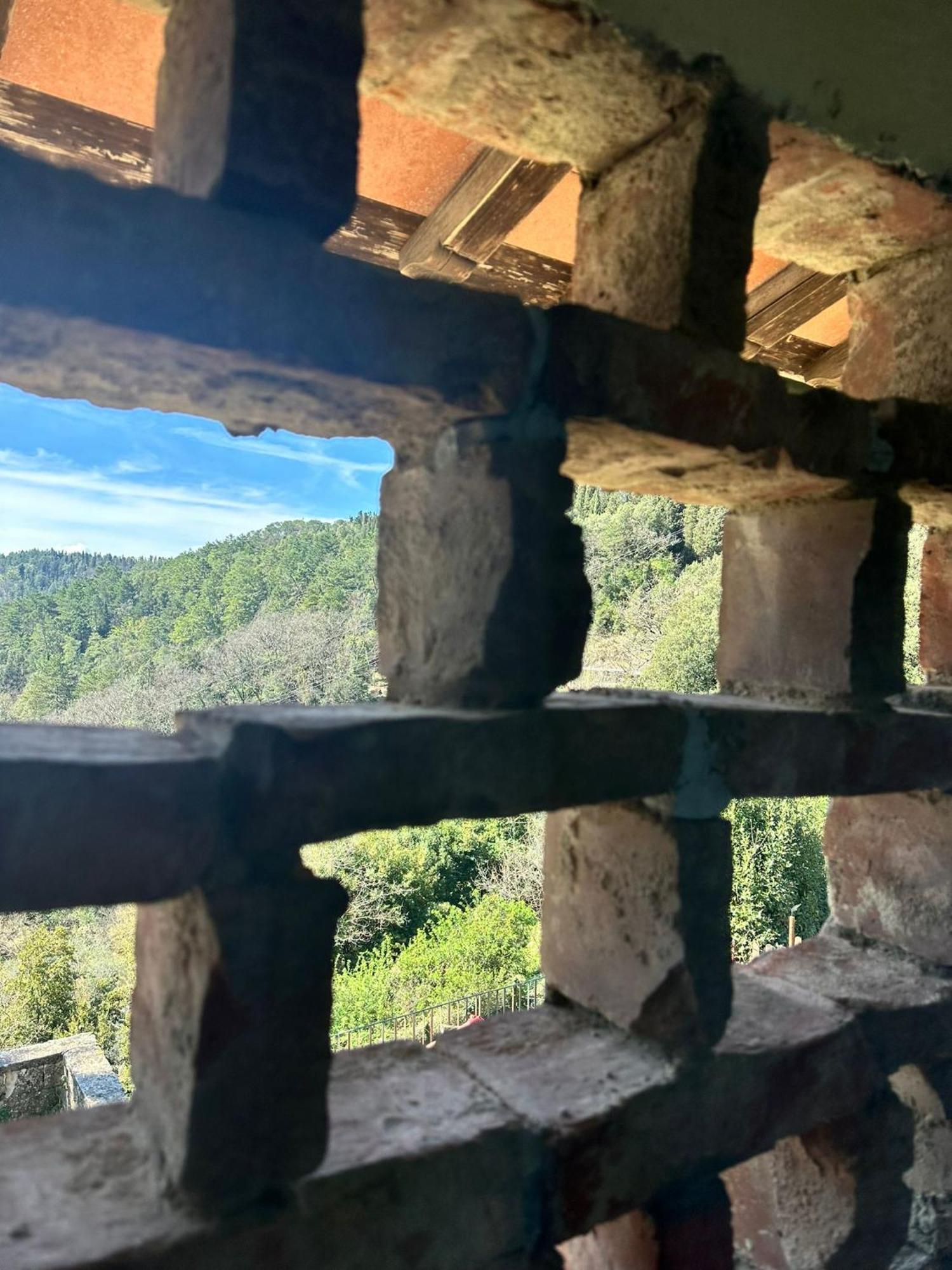 Agriturismo Tassinaia Pontassieve Bagian luar foto