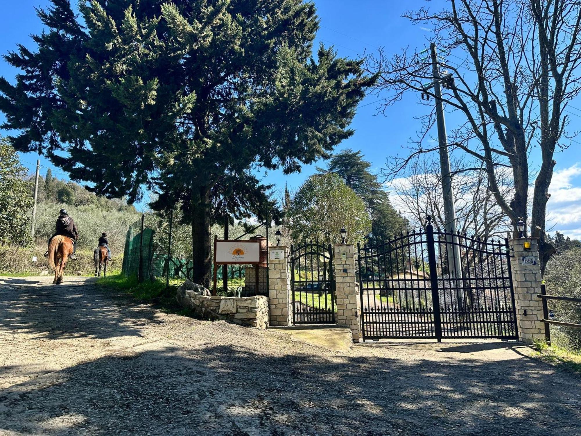 Agriturismo Tassinaia Pontassieve Bagian luar foto