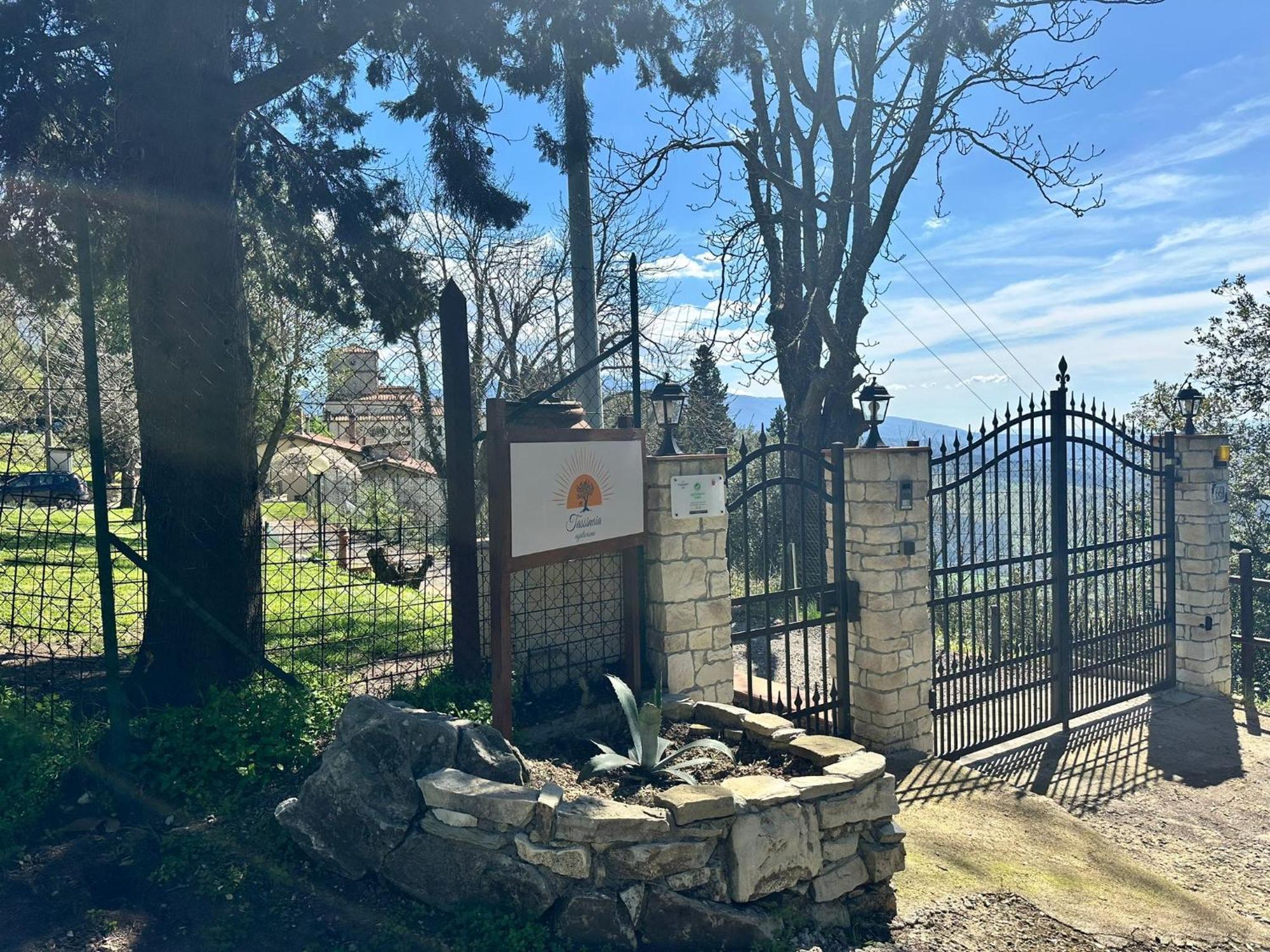 Agriturismo Tassinaia Pontassieve Bagian luar foto
