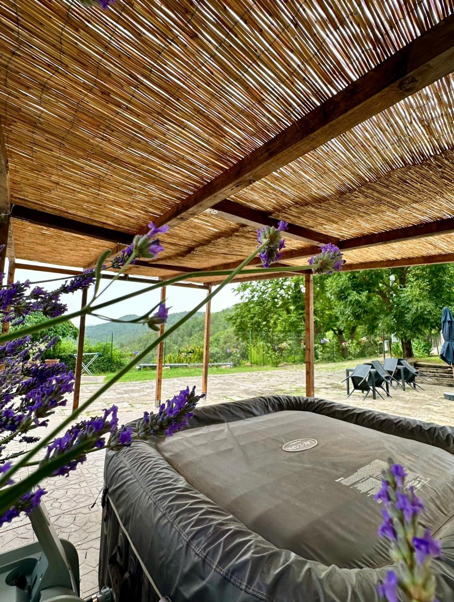 Agriturismo Tassinaia Pontassieve Bagian luar foto